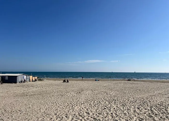 Sol-y-days, Résidence Thalassa En Première Ligne